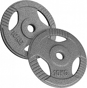 Physionics Sada kotoučů 2 x 10 kg, 31 mm