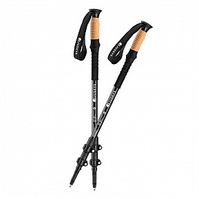 Sada Nordic Walking holí s příslušenstvím