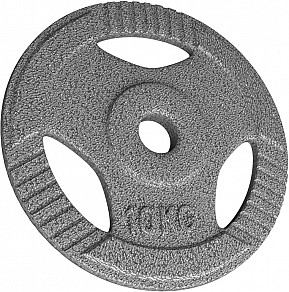 Physionics Litinový kotouč, 10 kg, 31 mm