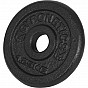 Gyronetics Sada nakládacích jednoručních činek, 30 kg