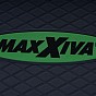 MAXXIVA fitness stepper, výškově nastavitelný, zelená