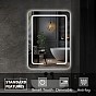 IREDA Koupelnové zrcadlo s LED osvětlením, 60 x 80 cm