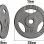 PHYSIONICS Sada činkových kotoučů 4 x 5 kg, litina, 31 mm