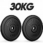 PHYSIONICS Zátěžové kotouče 2 x 15 kg, 31 mm, litina