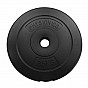 Physionics Sada zátěžových desek 2 x 2,5 kg, 30/31 mm