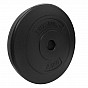 Physionics Sada zátěžových desek 2 x 2,5 kg, 30/31 mm