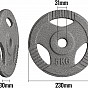Physionics Litinový kotouč, 5 kg, 31 mm