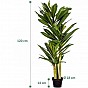 PLANTASIA Umělý strom Dracaena 120 cm, 81 listů