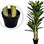 PLANTASIA Umělý strom Dracaena 120 cm, 81 listů