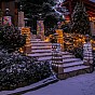 VOLTRONIC Solární světelná hadice 100 LED, barevná
