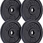 Sada litinových kotoučů 20 kg, 4x5 kg, průměr 30 mm