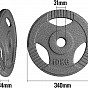 Physionics Sada kotoučů 2 x 10 kg, 31 mm