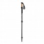 Sada Nordic Walking holí s příslušenstvím