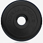 Gorilla Sports Činkový kotouč 1,25 kg, litinový, pogumovaný