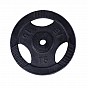 Gorilla Sports Litinový činkový kotouč, černý, 15 kg