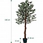 Umělý fíkus 160 cm s pravým dřevem do interiéru