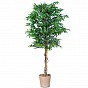 PLANTASIA Umělá rostlina strom, konopí, 150 cm