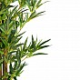 PLANTASIA Umělý strom, bambus, 160 cm