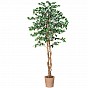 PLANTASIA Umělý strom fíkus, 190 cm