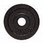 Gorilla Sports Sada litinových činek 30 kg, 25 mm