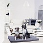 Polštář pro psa velikost XL, světle šedý,140 x 100 x 10 cm