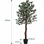 PLANTASIA Umělý strom fíkus, 160 cm